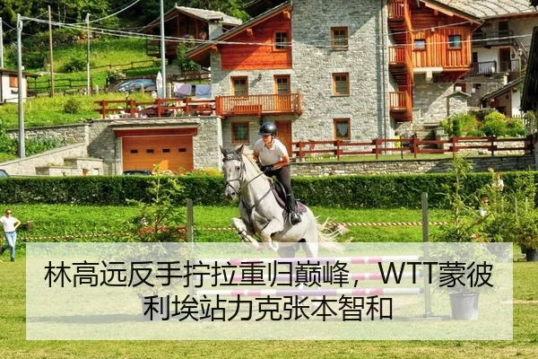 林高远反手拧拉重归巅峰，WTT蒙彼利埃站力克张本智和